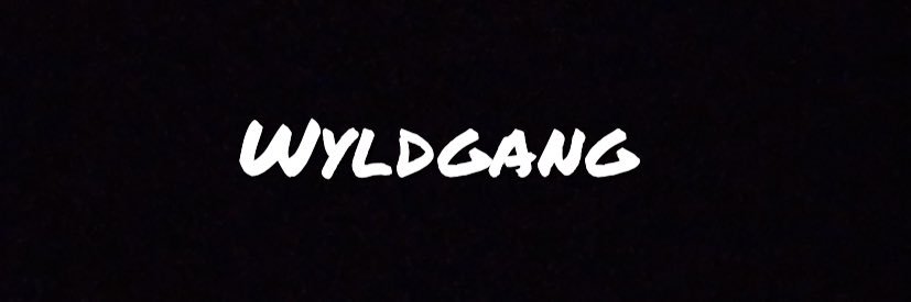PicksGoneWyld's profile banner image