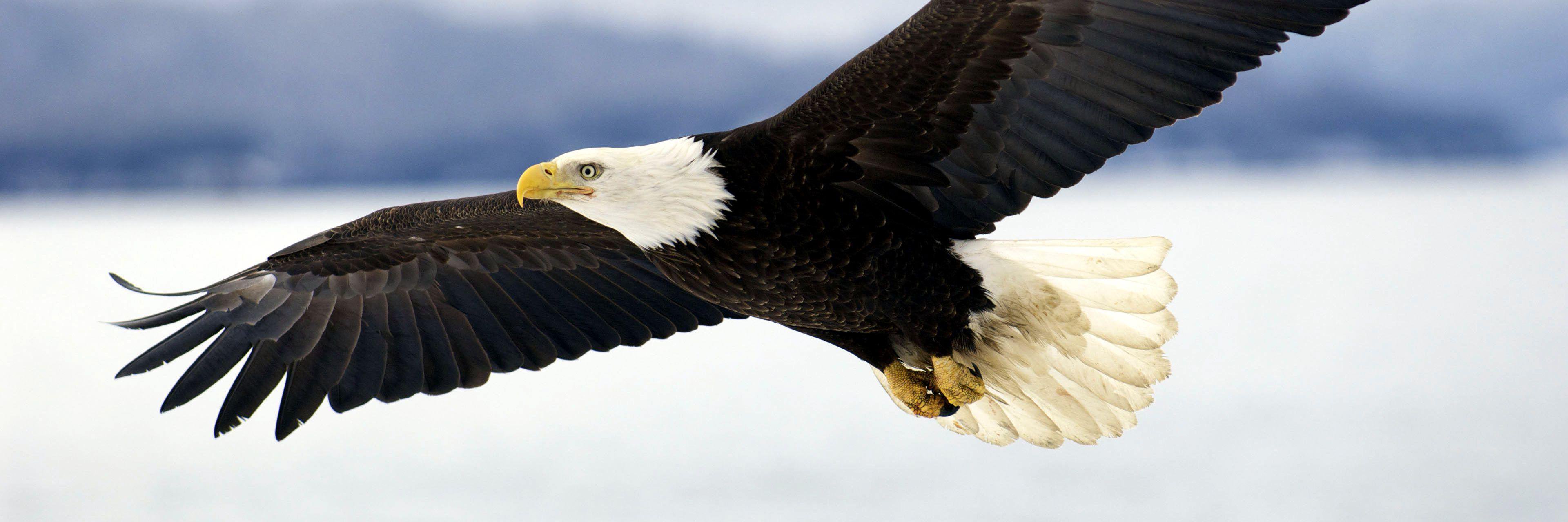 Rabiu Alhassan banner