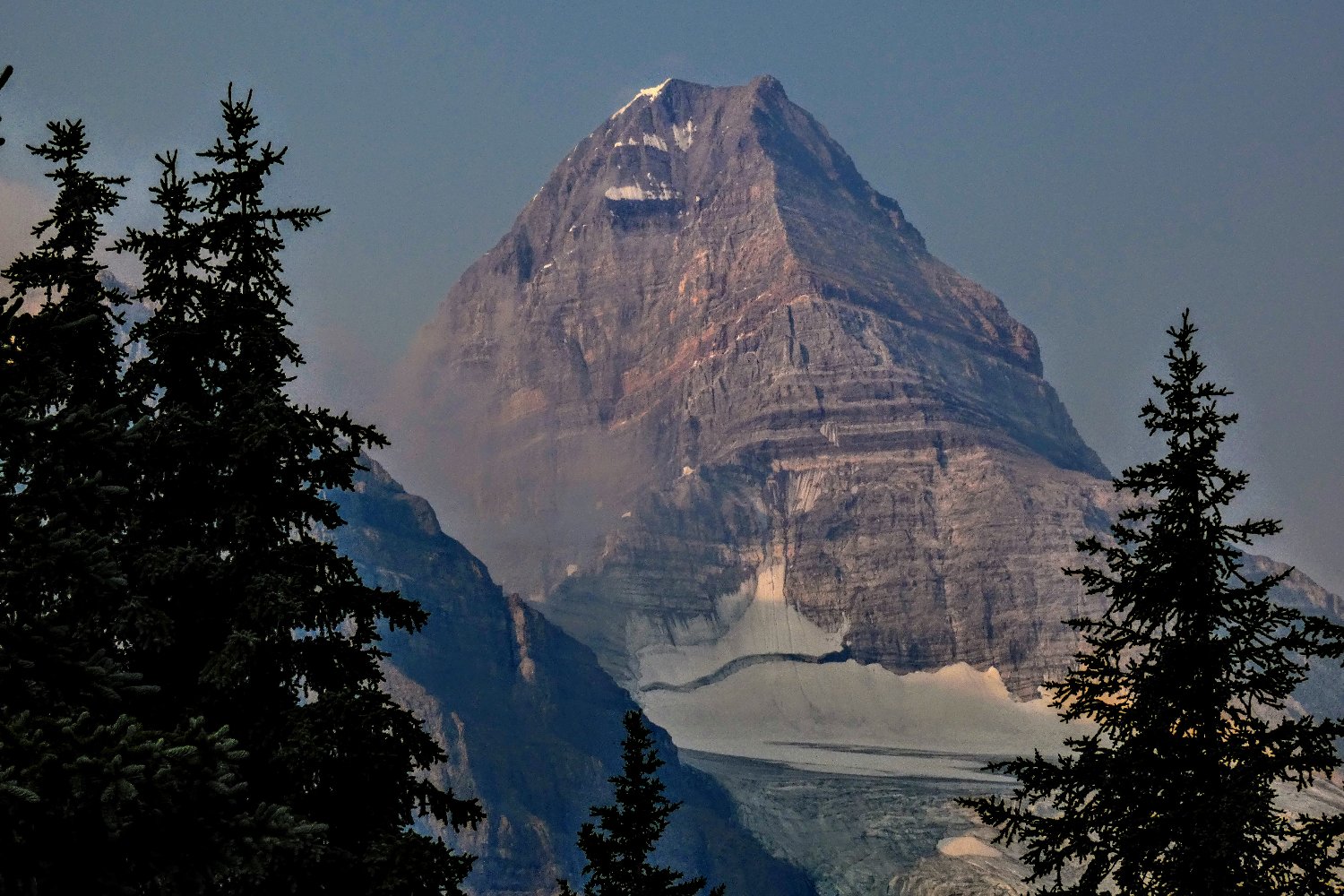 Nulli - Identity Management banner