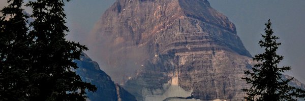 Nulli_IAM Profile Banner