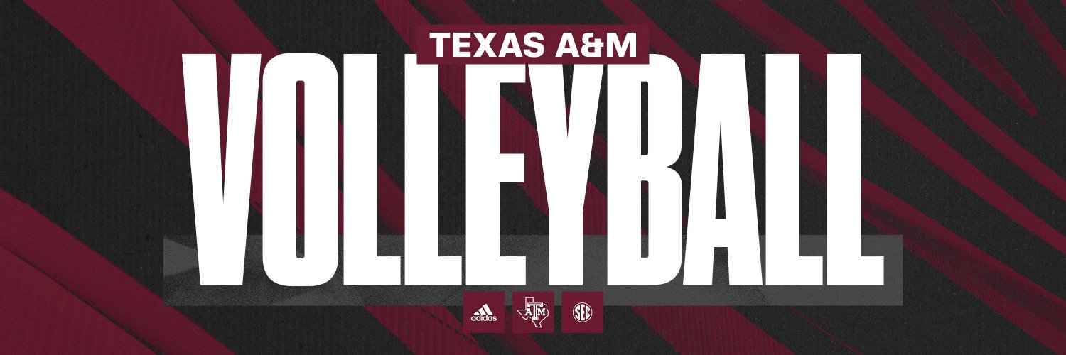 Texas A&M Volleyball's banner