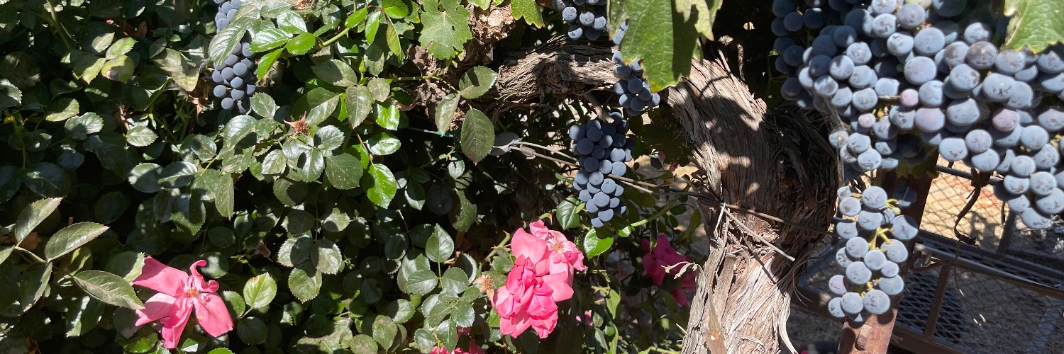 Water2WineTours's profile banner image