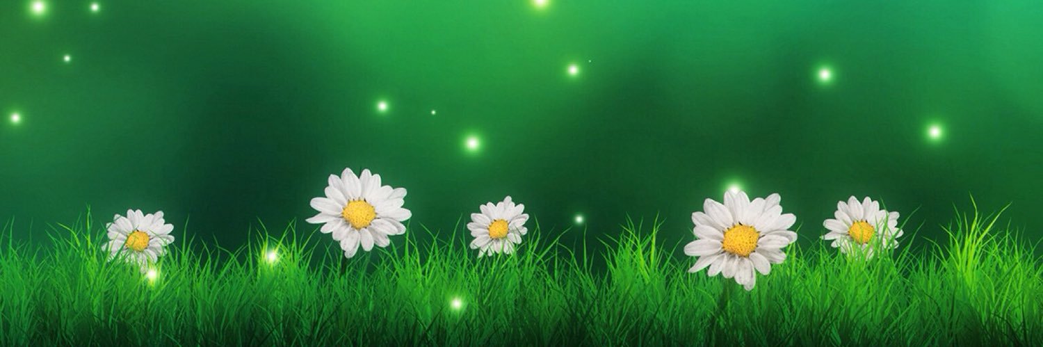 janecavassin's profile banner image