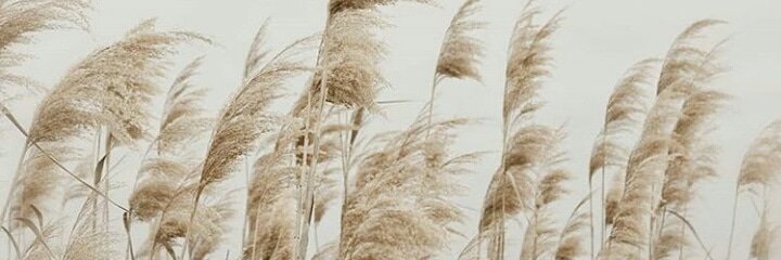 MutiaFeisah's profile banner image