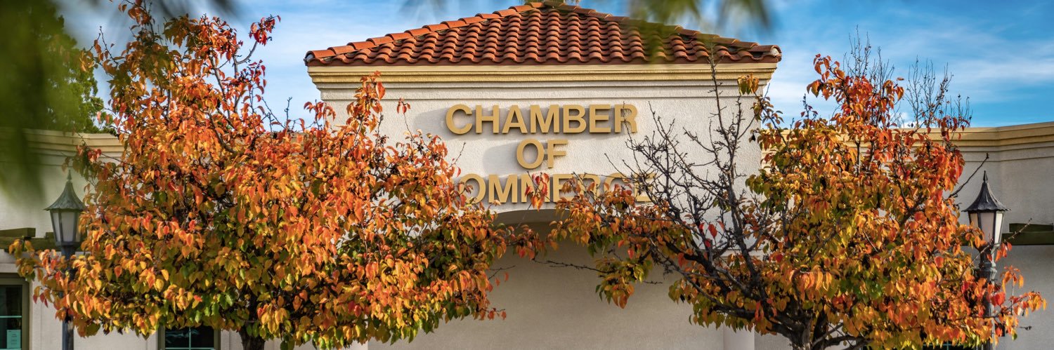 Temecula Chamber banner