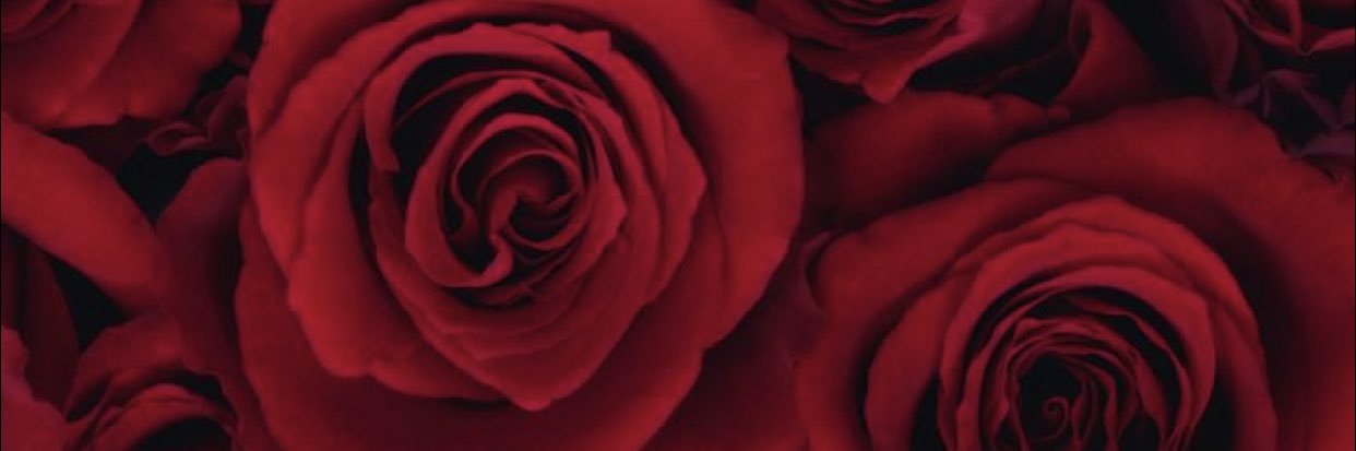 _MiMi_MC's profile banner image