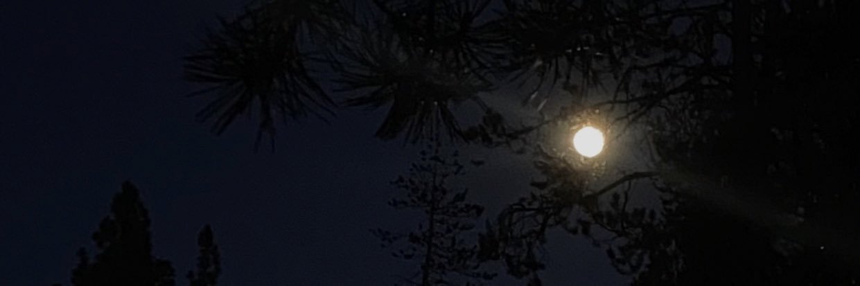 cryptobiznatch's profile banner image