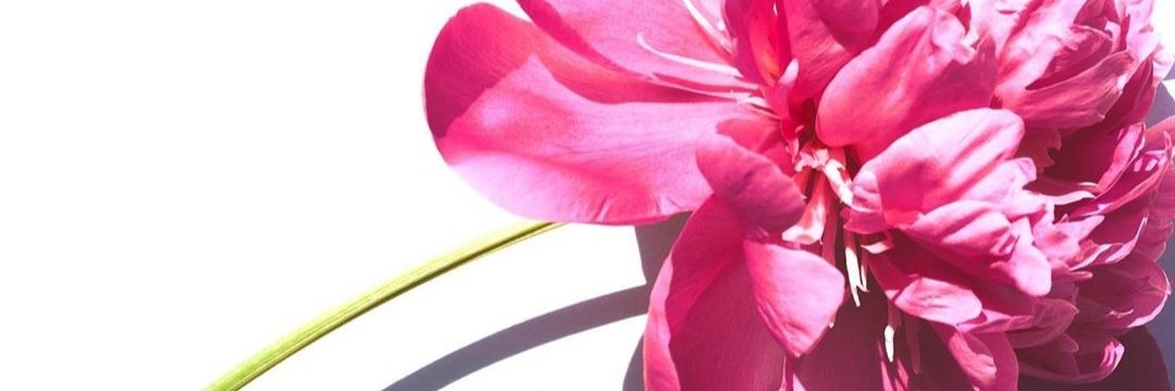 Lin Arzate banner