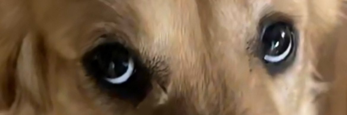 ActuallyAJR's profile banner image