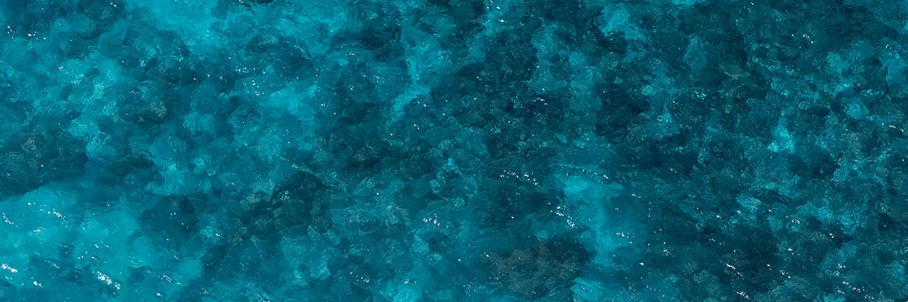 icocoat's profile banner image