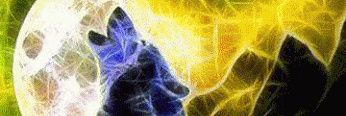 marisol_luna's profile banner image