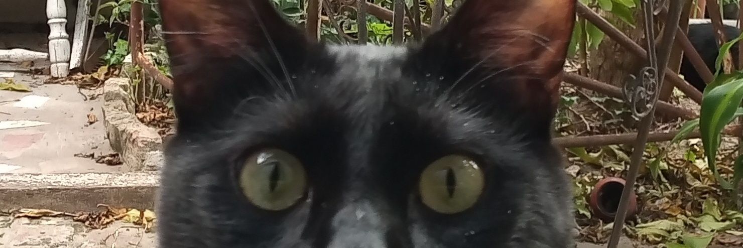 NclsJllr's profile banner image