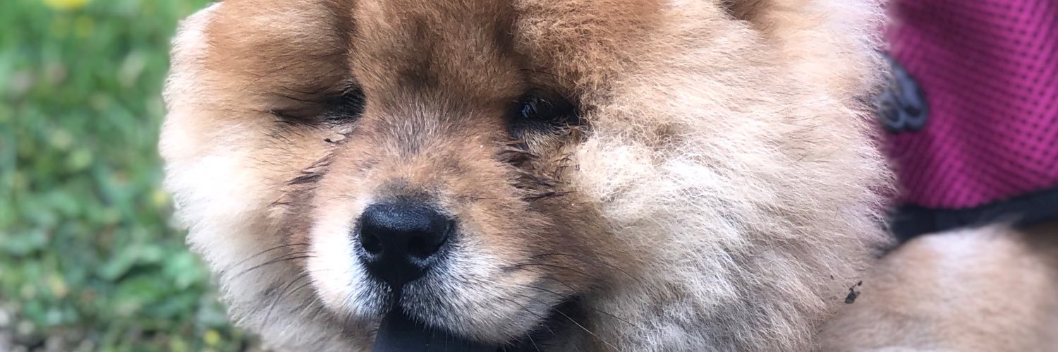 ivorianbaddie🇨🇮 #BLM banner