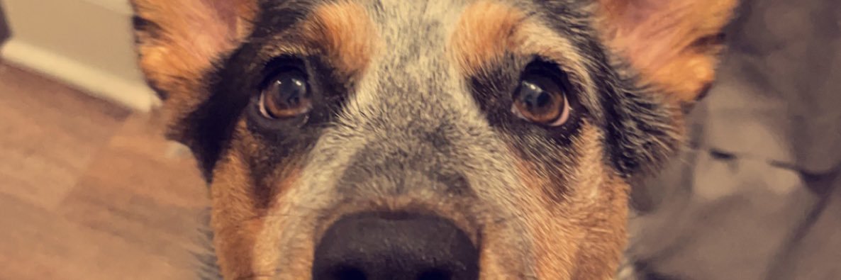 HannahMoze's profile banner image