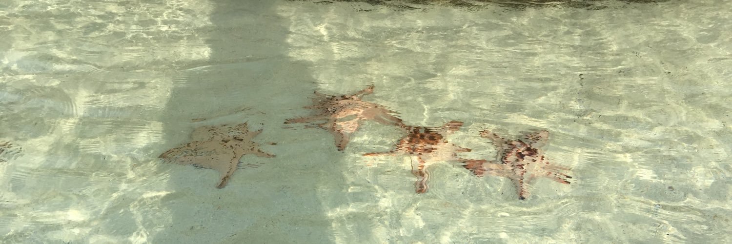 ipgroovy's profile banner image