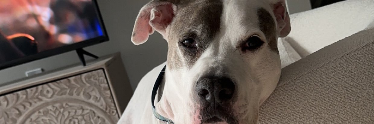 KeelieTruell's profile banner image