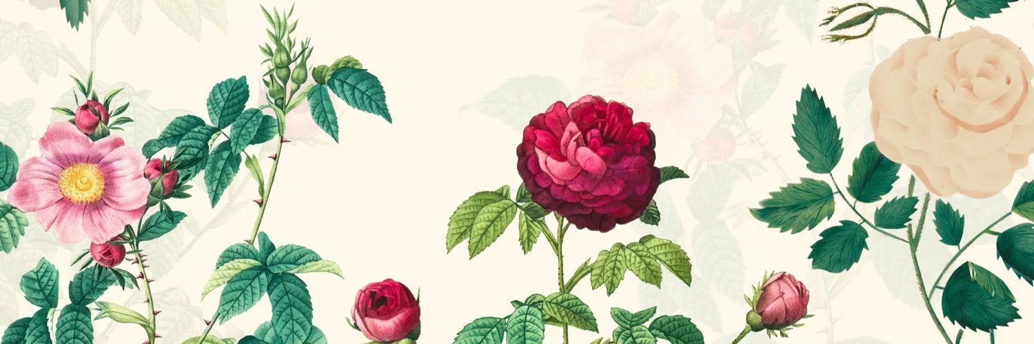 shelbikramer's profile banner image