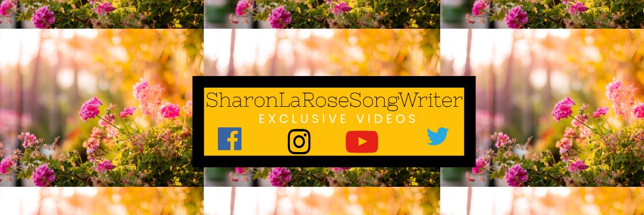 SharonLaRose's profile banner image
