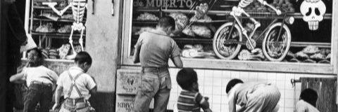 mauricho49's profile banner image