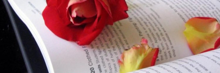 Reemo75555845's profile banner image