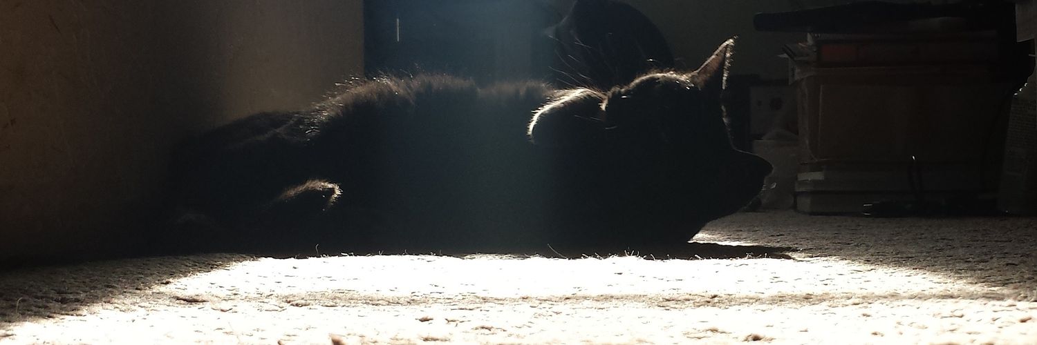 cheftinybear's profile banner image