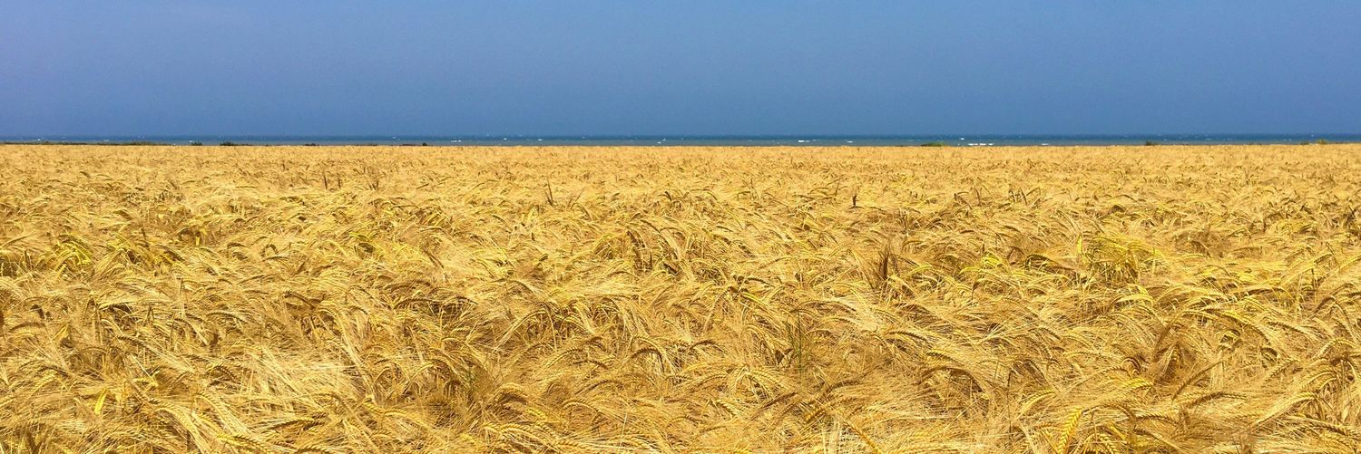 Oleg3w's profile banner image
