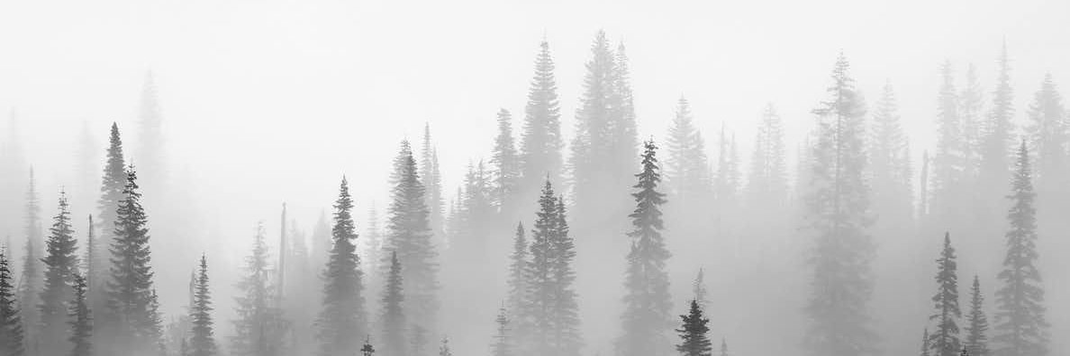 aninglacya's profile banner image