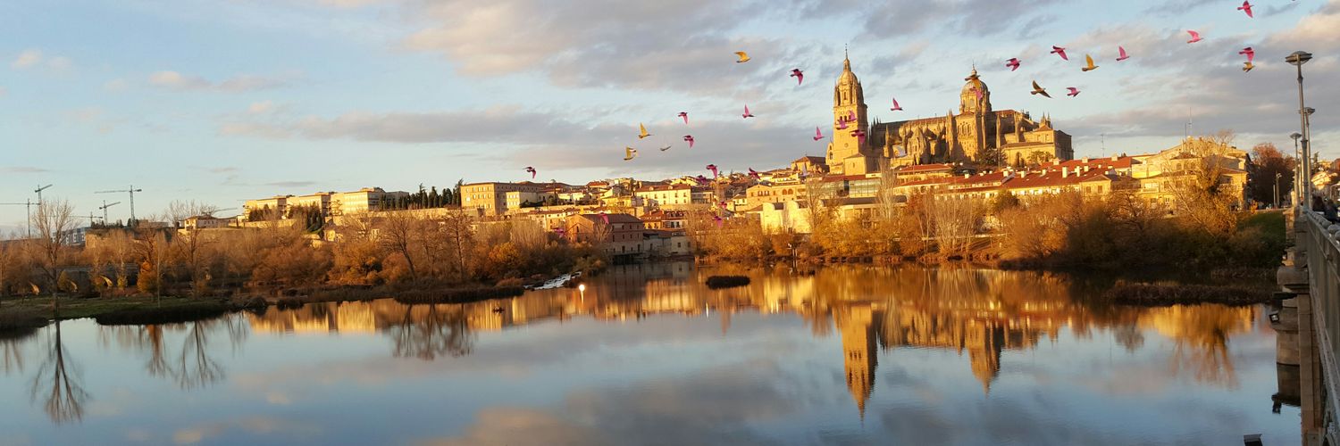 Ton_Pachon's profile banner image