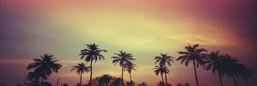 Nara_Borges's profile banner image