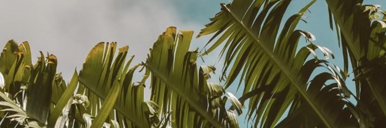 jed_casey's profile banner image