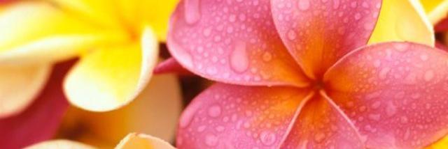 D_Lolaaa's profile banner image