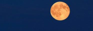 Anghet's profile banner image