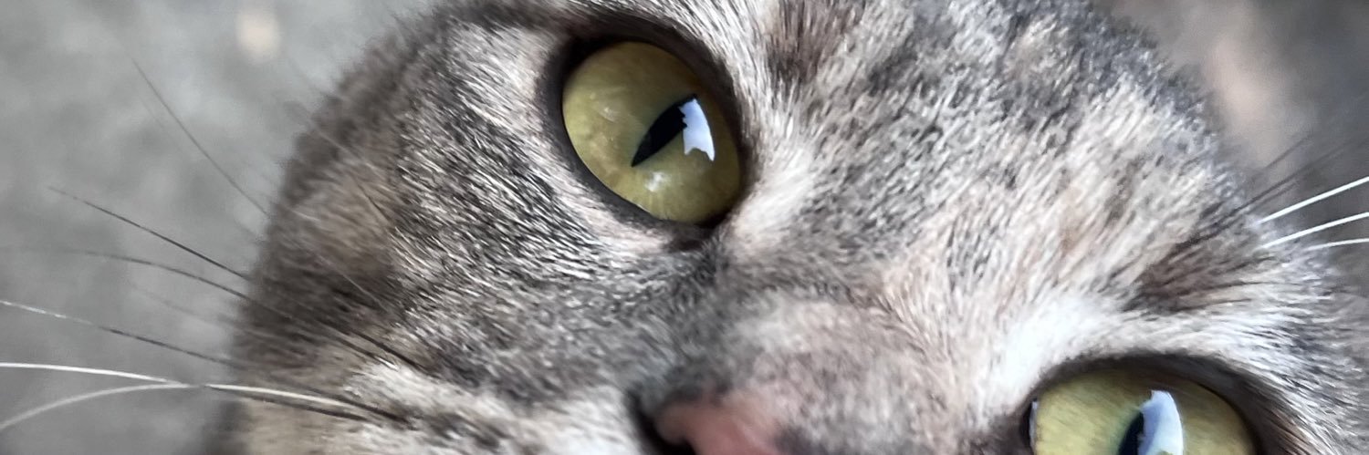 chippy_ca's profile banner image