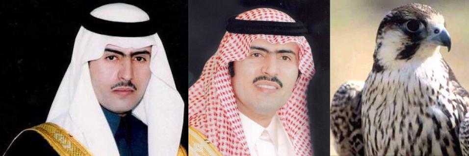 محمد بن راشد banner