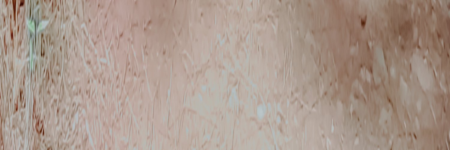 bellakariena's profile banner image