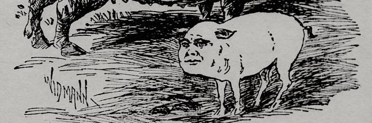 BGClarkson's profile banner image