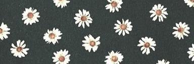Zaraaaa_M's profile banner image