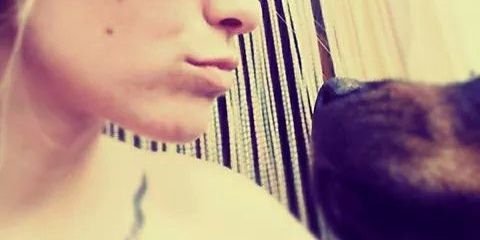 p_larrosa's profile banner image