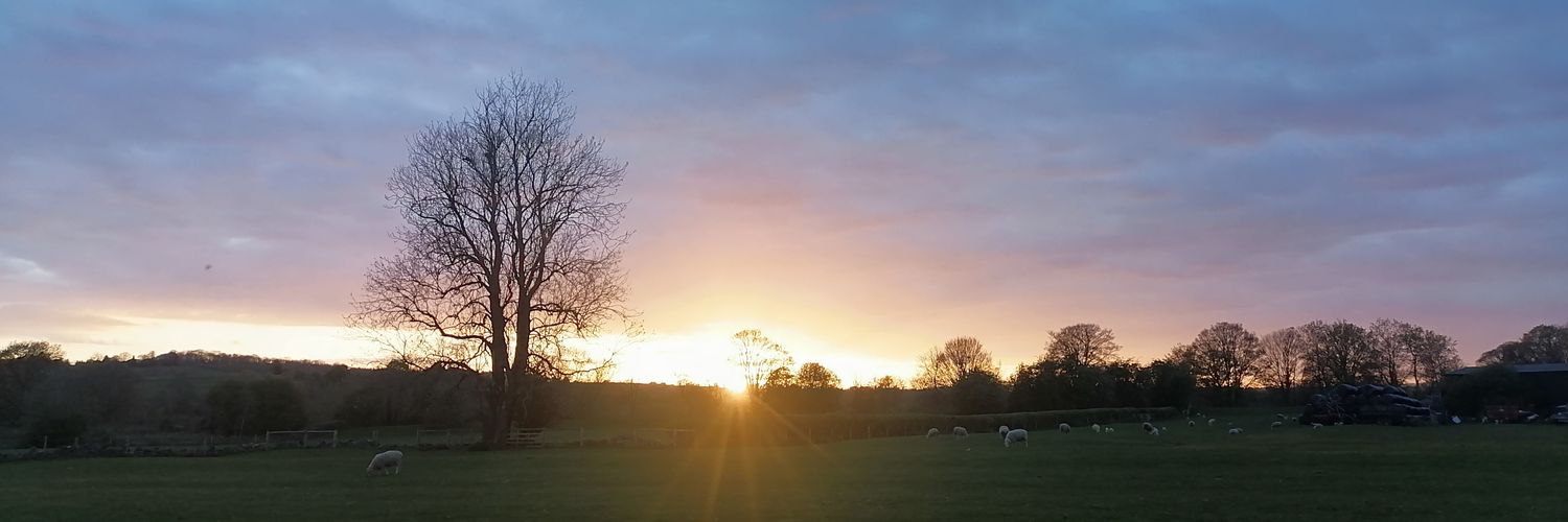 annact81's profile banner image