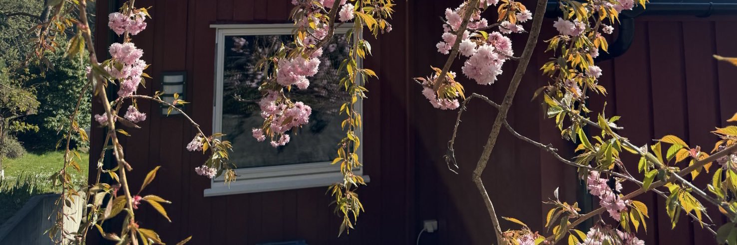 POLLY-LiN banner