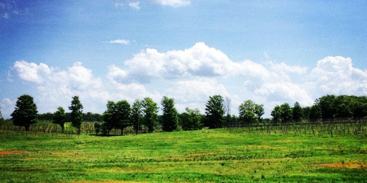 laurasider's profile banner image