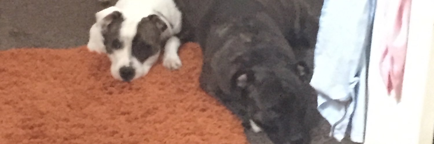 stephaniejayn10's profile banner image