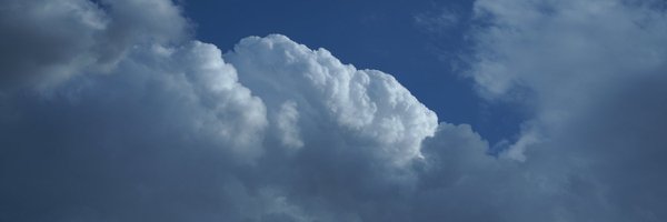 sarukingaizm Profile Banner