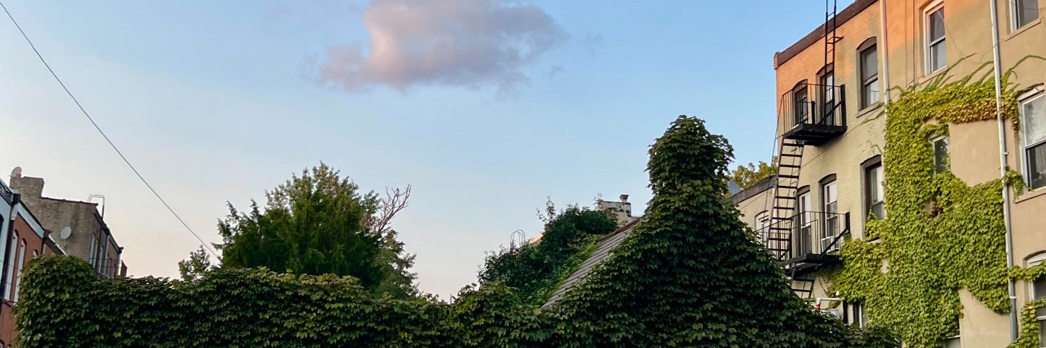 Sarah Dougherty banner