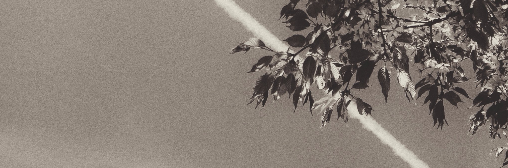 AxelEhnstrom's profile banner image