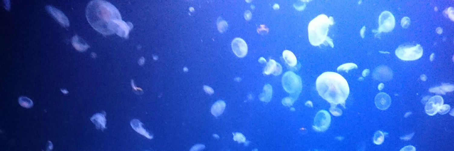 sayaka_LB's profile banner image
