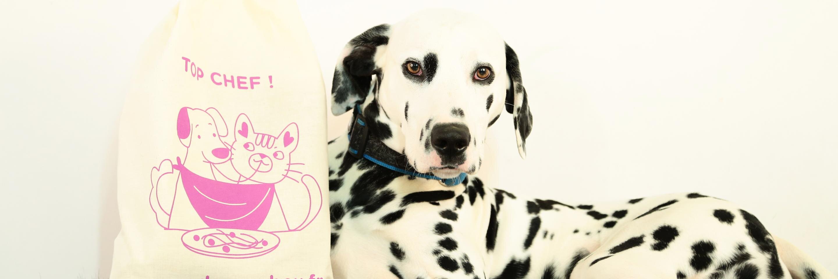 DoggykittyBox's profile banner image