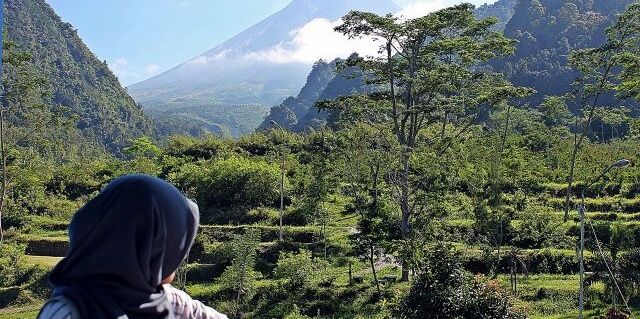 suciwulank's profile banner image