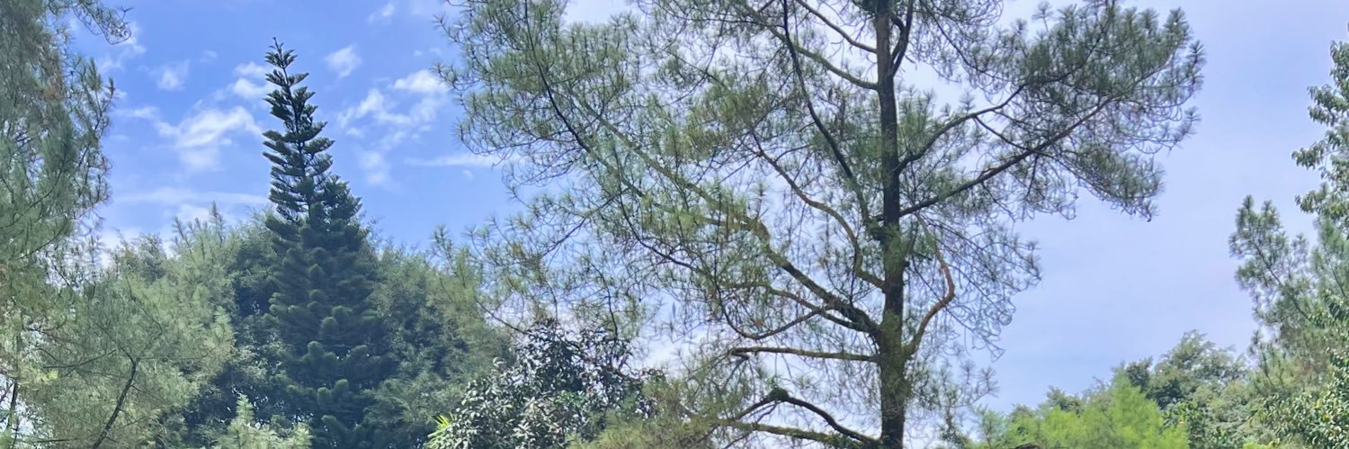 mayrapradina's profile banner image