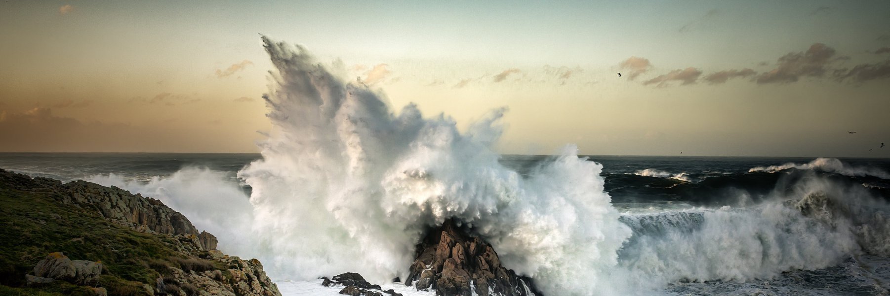jhnyx's profile banner image